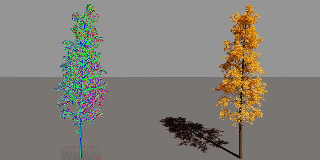SkelTree